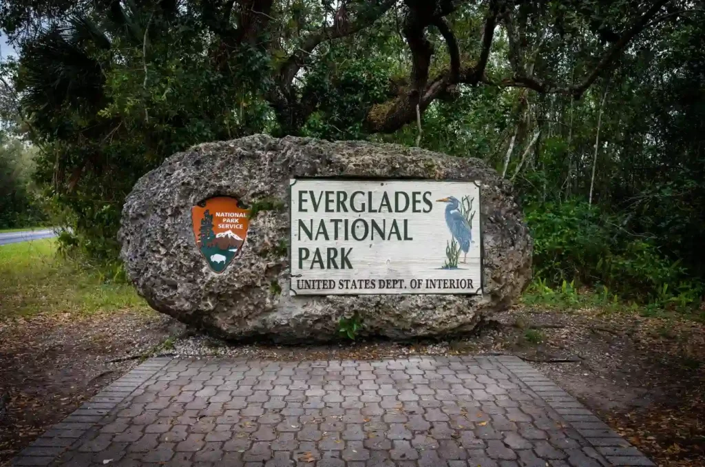 Everglades National Park Miami is the fifth activity on our list of things to do in Miami with kids.