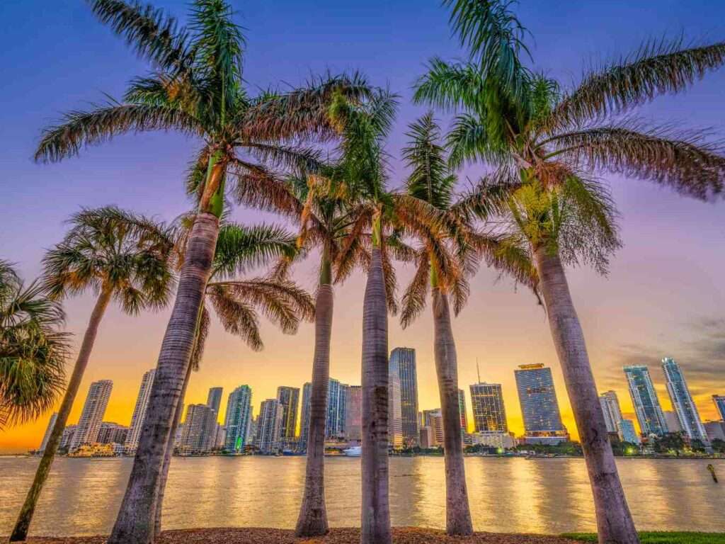 fun things to do in miami with kids